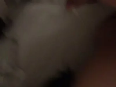 北京骚逼！到处求操！